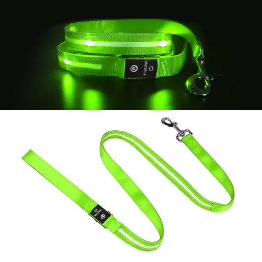 LED Dog Leash