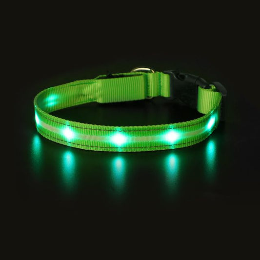 LED Dog Collar